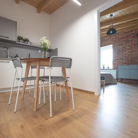 Apartamenty Mlynska 5 Bielsko-Biała Exterior foto