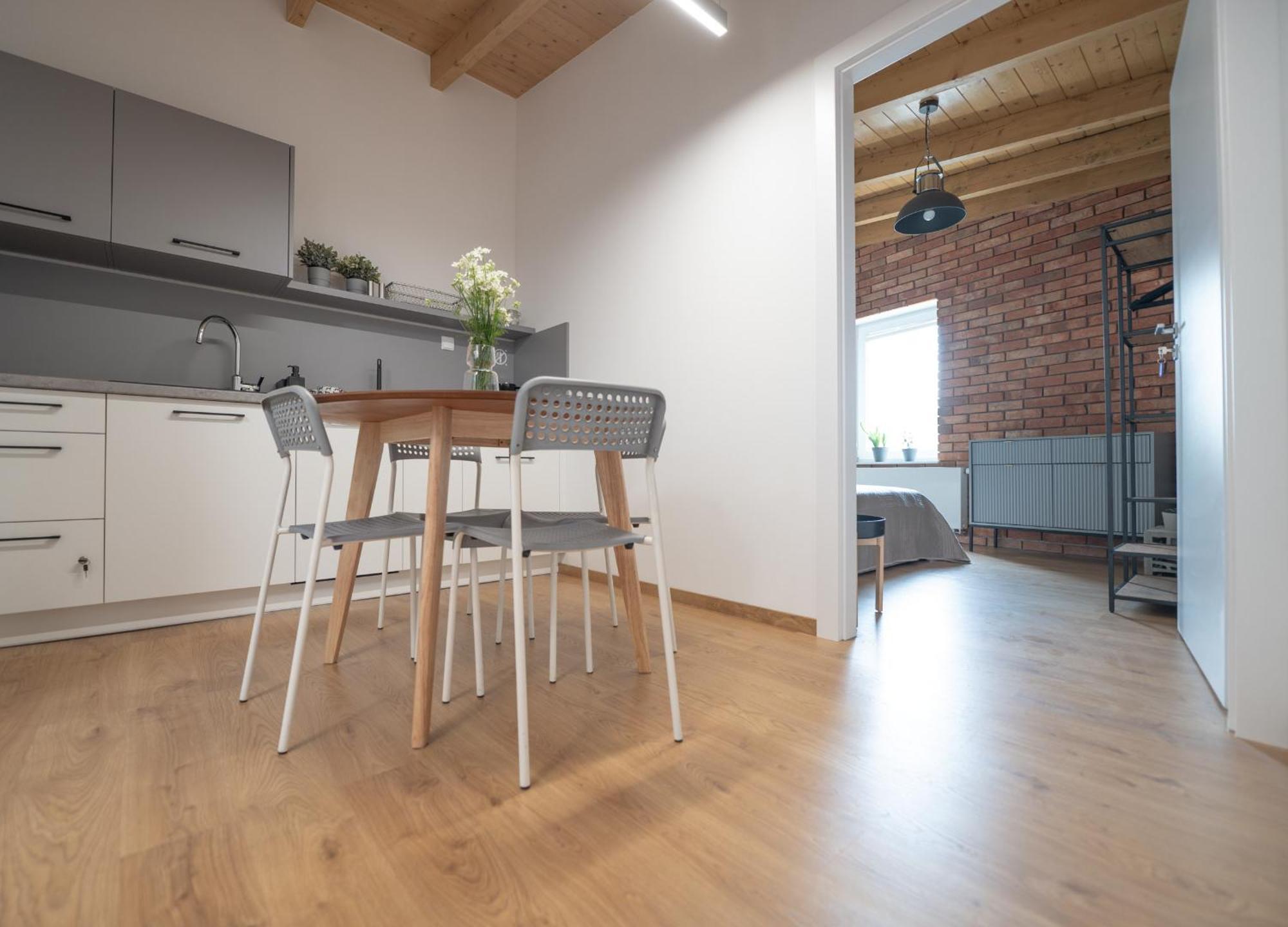 Apartamenty Mlynska 5 Bielsko-Biała Exterior foto