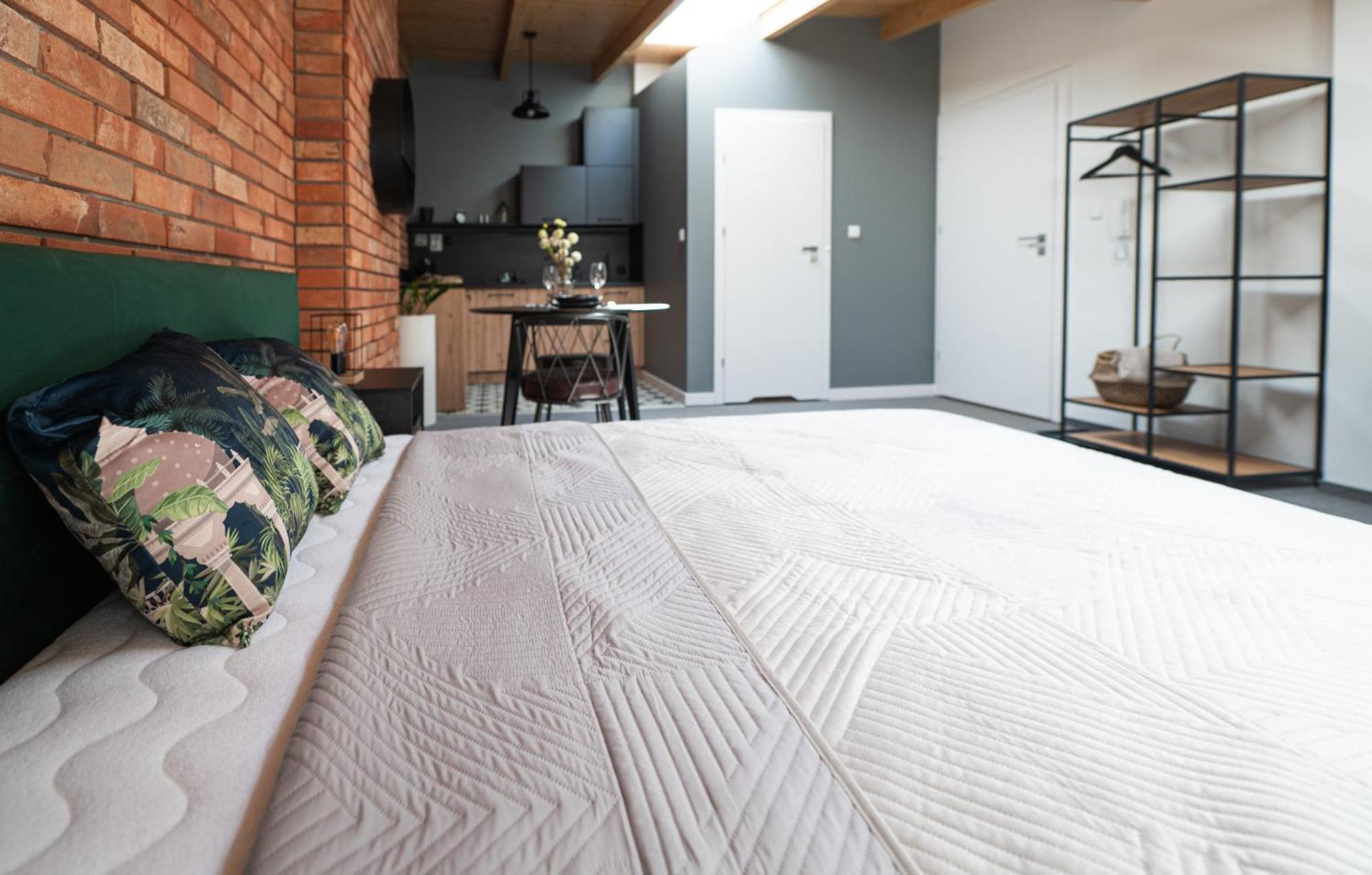 Apartamenty Mlynska 5 Bielsko-Biała Exterior foto